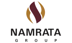 Developer Logo